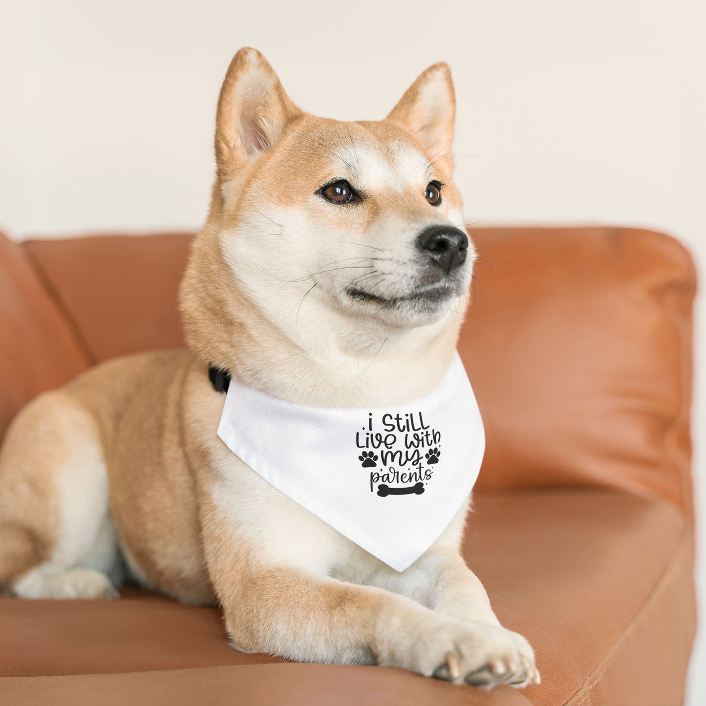 Cute Pet Bandana Collar – "I Still Live With My Patients" – Perfect for Dog Lovers