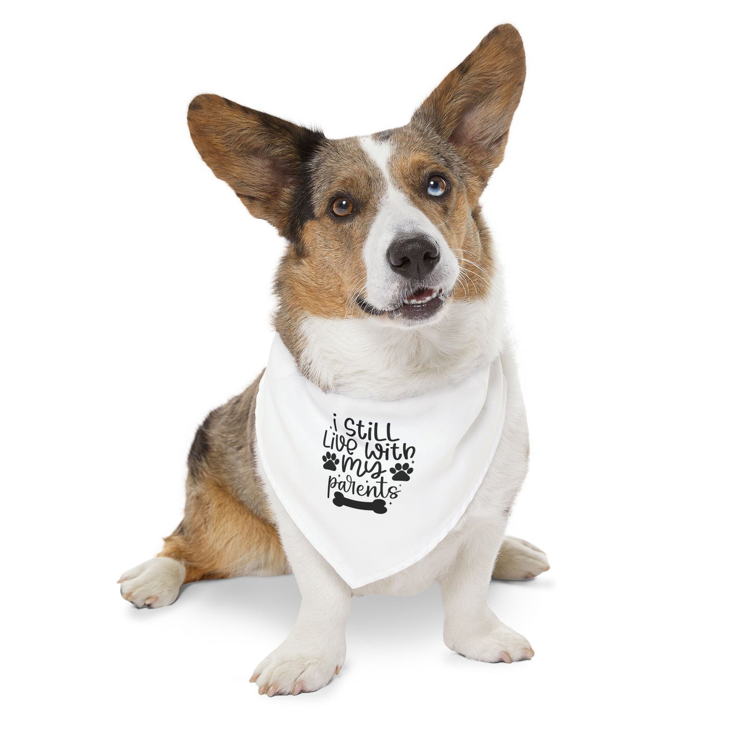 Cute Pet Bandana Collar – "I Still Live With My Patients" – Perfect for Dog Lovers