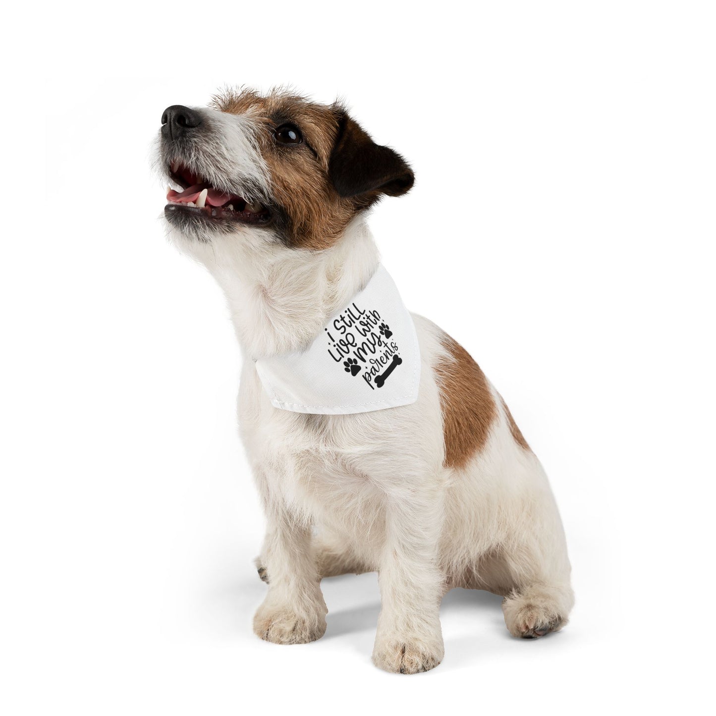 Cute Pet Bandana Collar – "I Still Live With My Patients" – Perfect for Dog Lovers