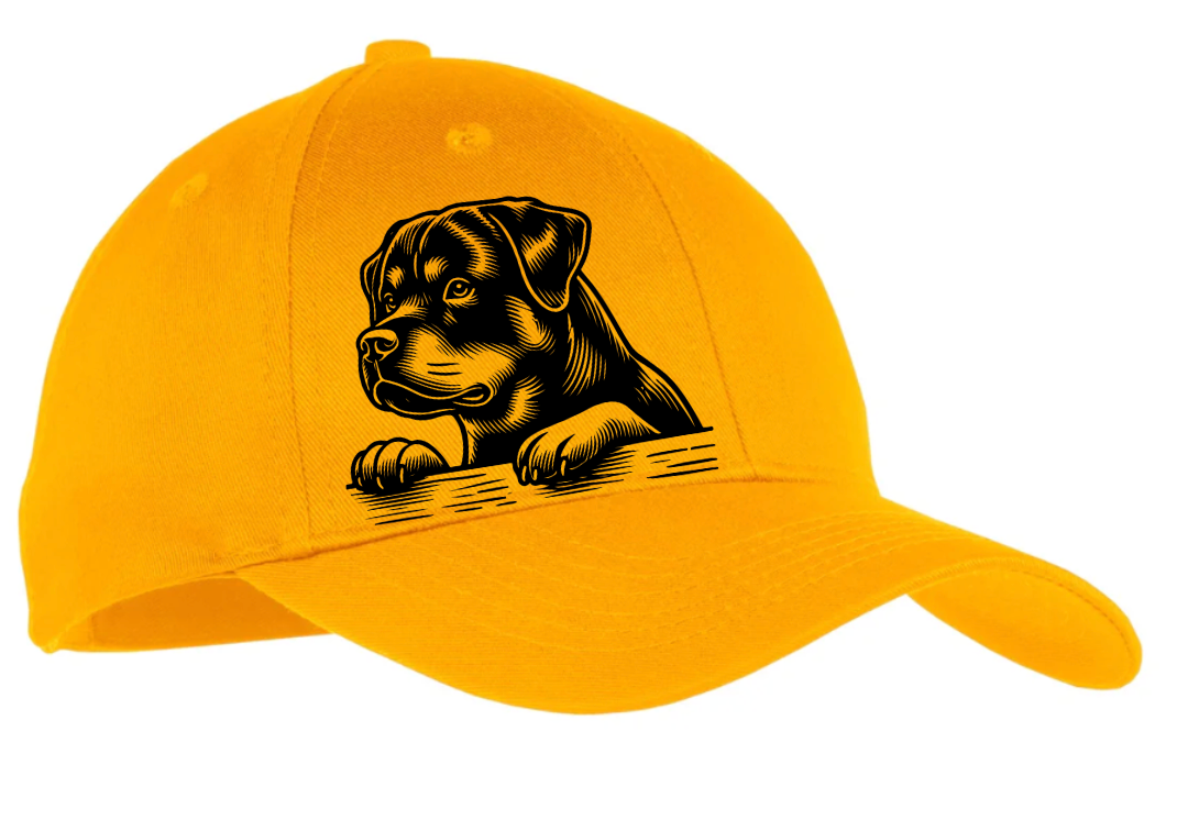 Youth Twill Cap