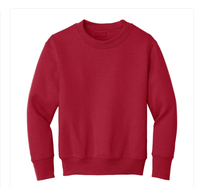 Youth Crewneck Sweatshirt!