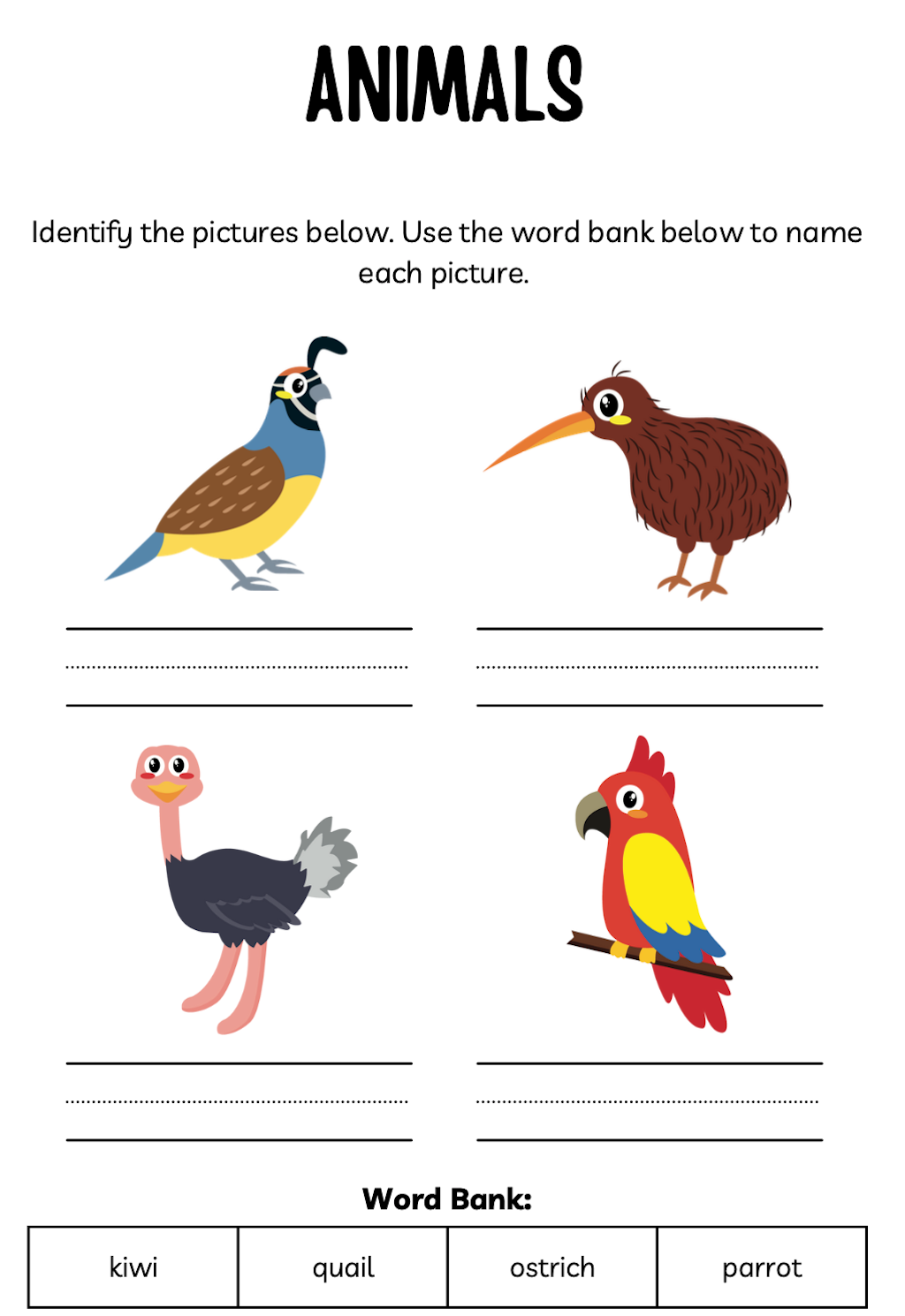 Animal Workbook - for a Powerful Practice