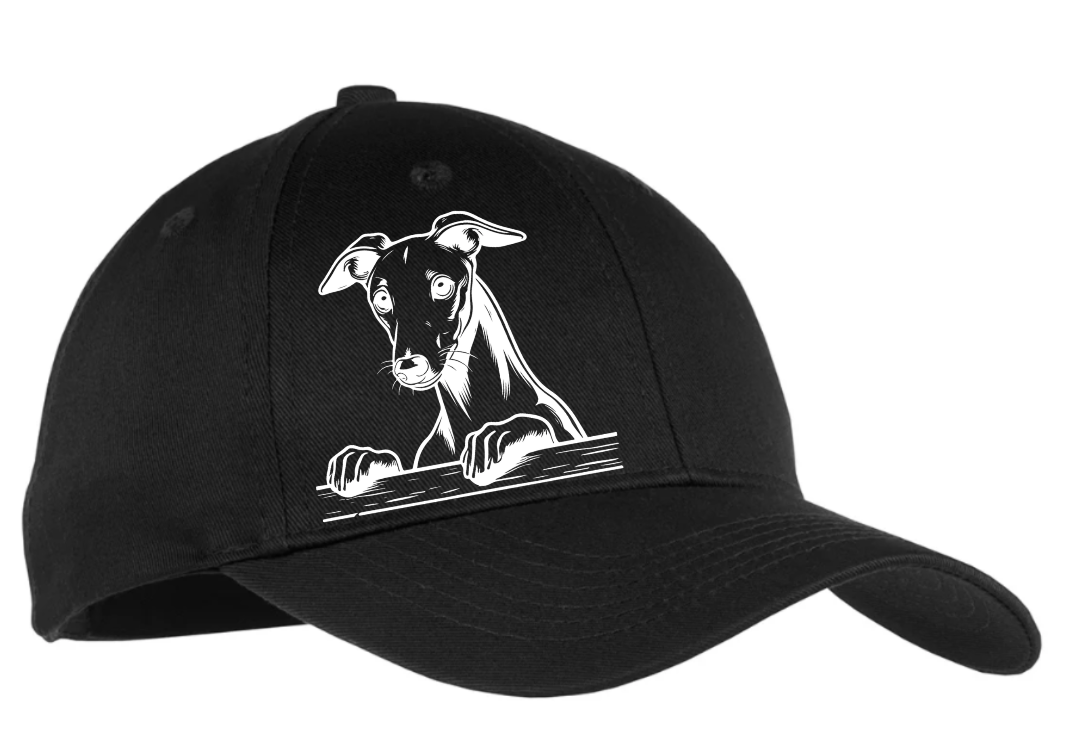 Youth Twill Cap