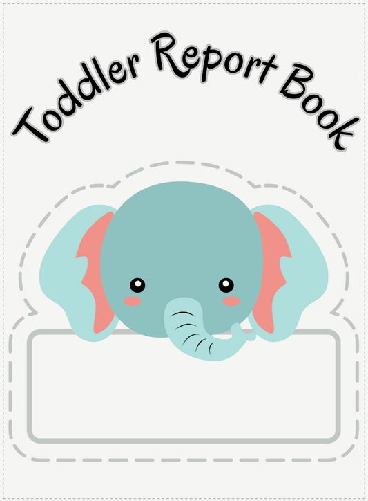 Daily Toddler Report Book